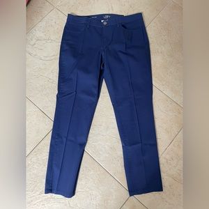 LOFT Blue Curvy Skinny Ankle Pants, Size 31/12